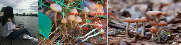 прущий лед Бронницы