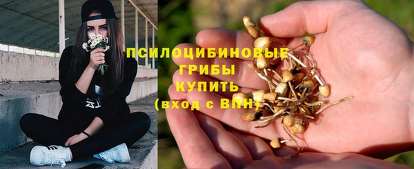 СК Бородино