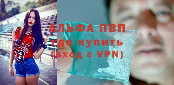 СК Бородино